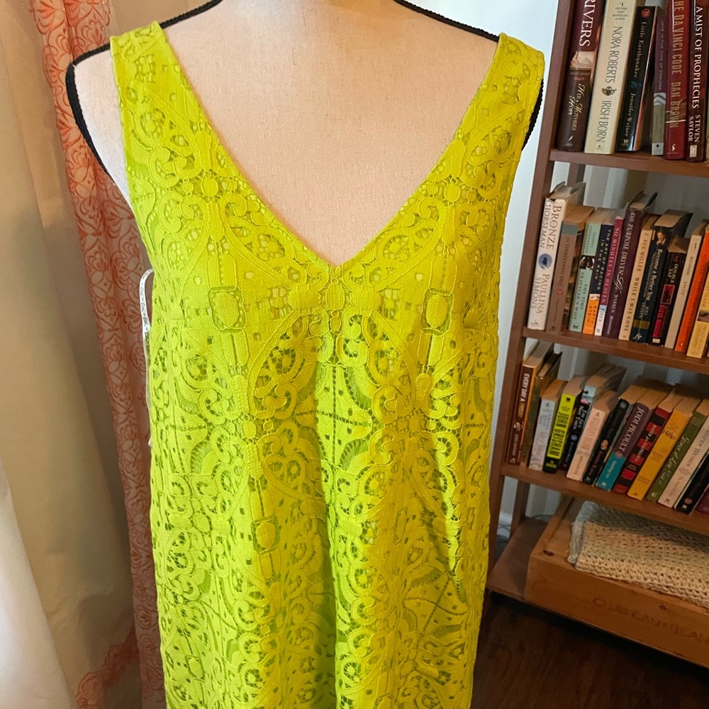 NWT Lilly Pulitzer lace dress Anamaria